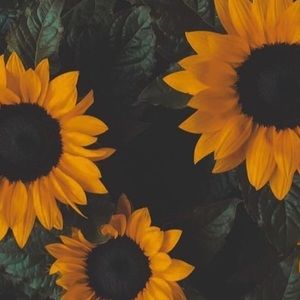 Meet your Posher, Kaylee